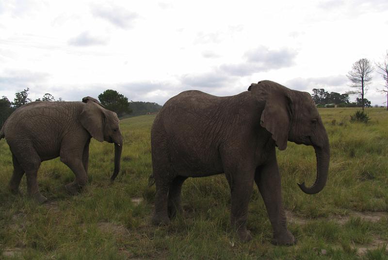 Elephant Sanctuary (19).jpg